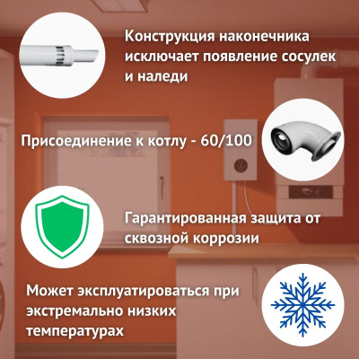 Дымоход для котла FERROLI Vitabel любой мощности, комплект антилед (Китай) (DYMvitabel)